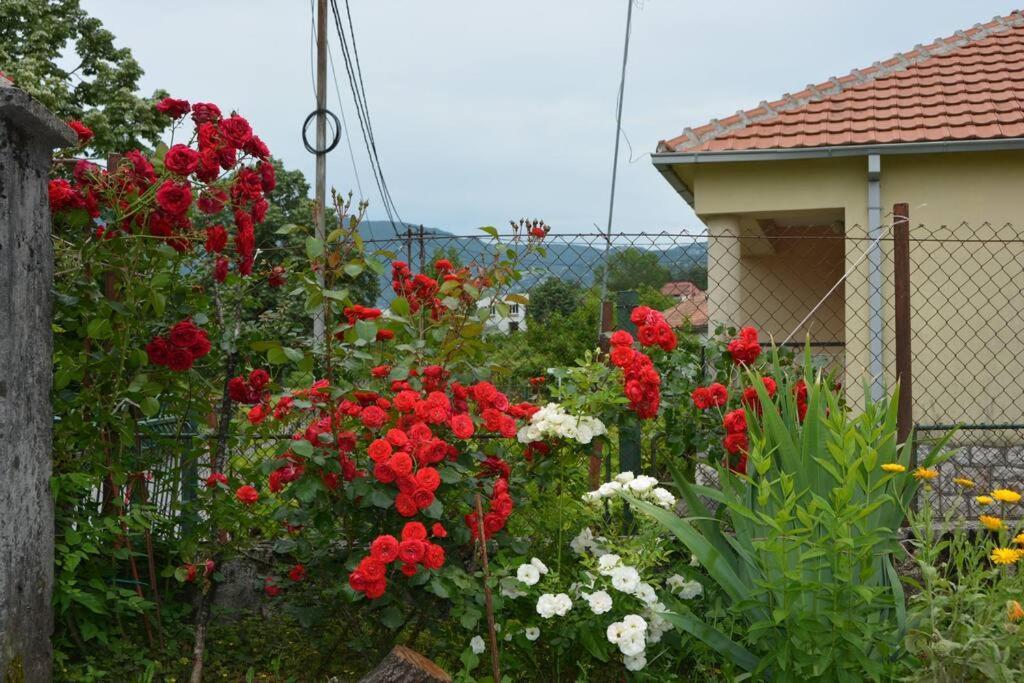 B&B Ana Virpazar Exterior foto